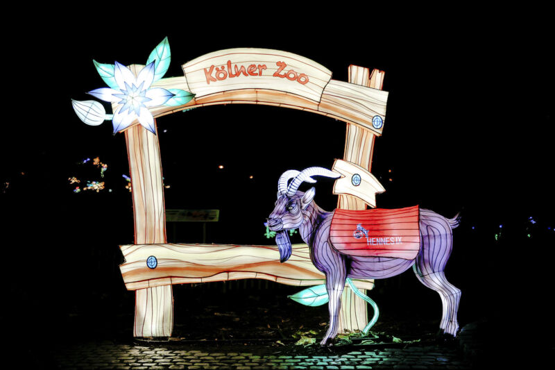 Leuchtende Figur während China Lights im Kölner Zoo