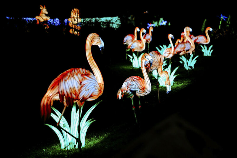 Leuchtende Figur während China Lights im Kölner Zoo