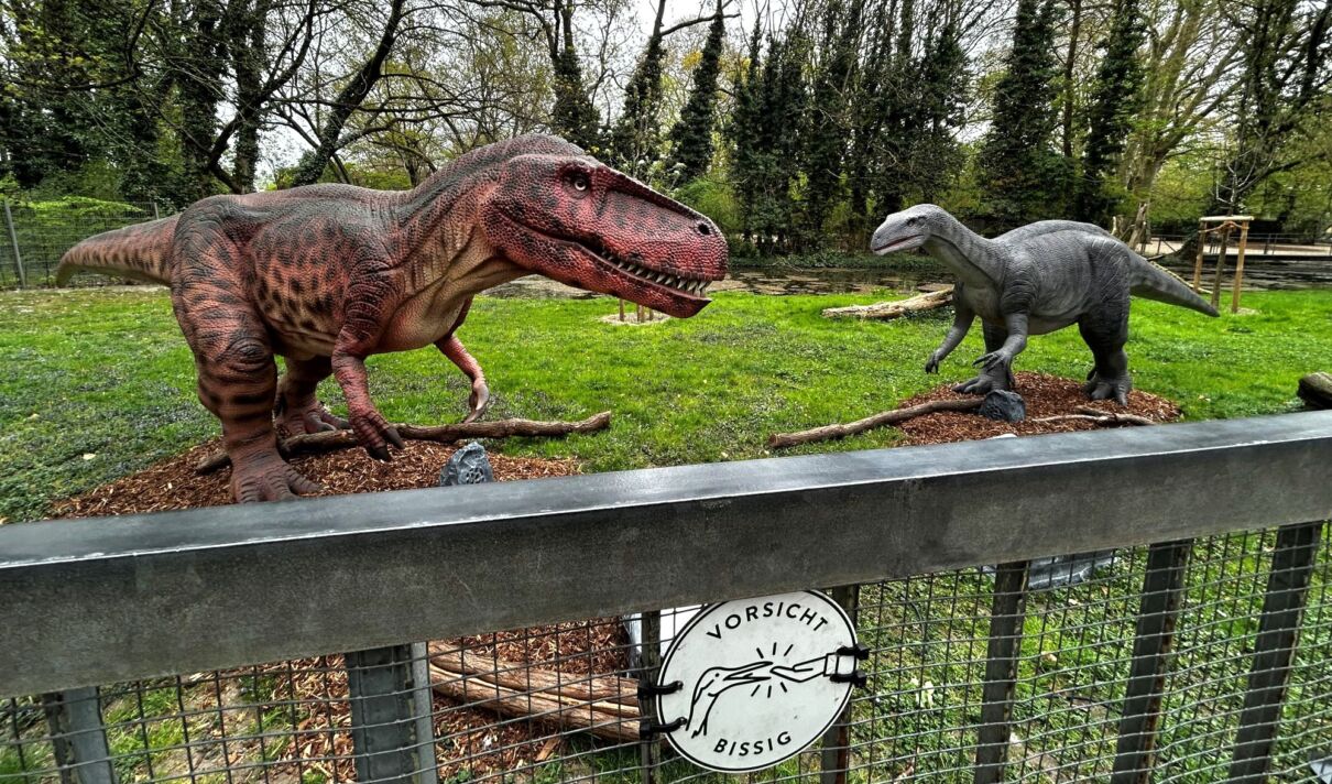 Zwei lebensgroße Dinosaurier-Skulpturen bei der Sonderschau "Dinoworld" im Kölner Zoo