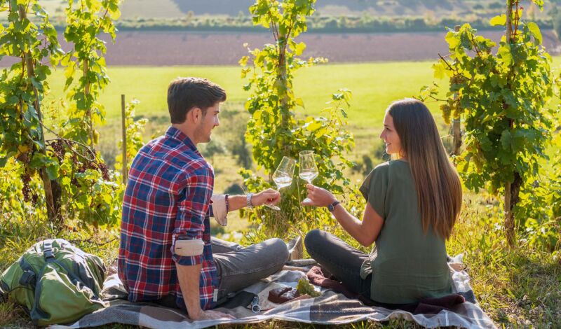 Ein Paar macht Picknick zwischen Weinreben und stößt mir einem Glas Weißwein an.