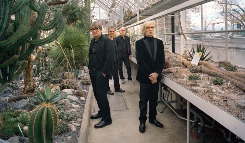 Die Musiker der deutschen Band Element of Crime stehen in einem Gewächshaus mit Kakteen.