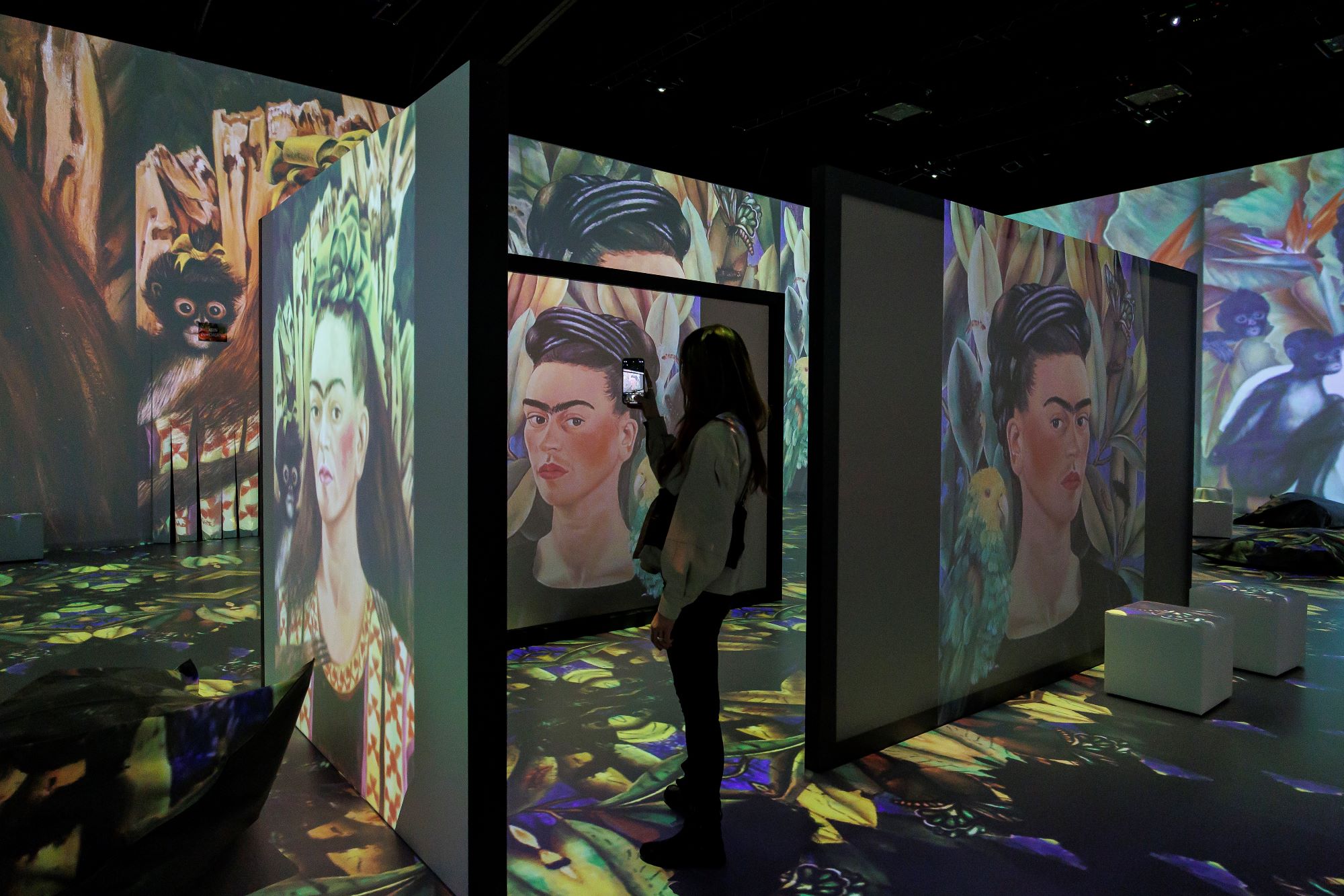 Immersive Ausstellung zu Frida Kahlo