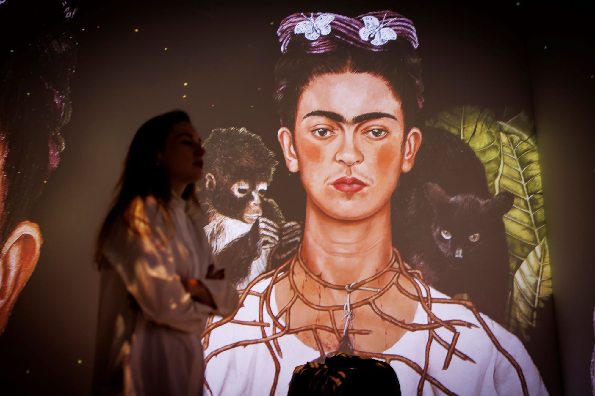 Immersive Ausstellung zu Frida Kahlo