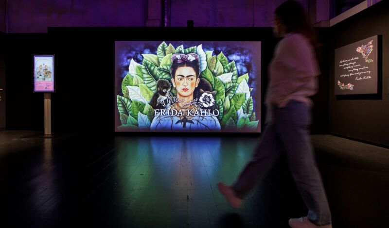 Immersive Ausstellung zu Frida Kahlo