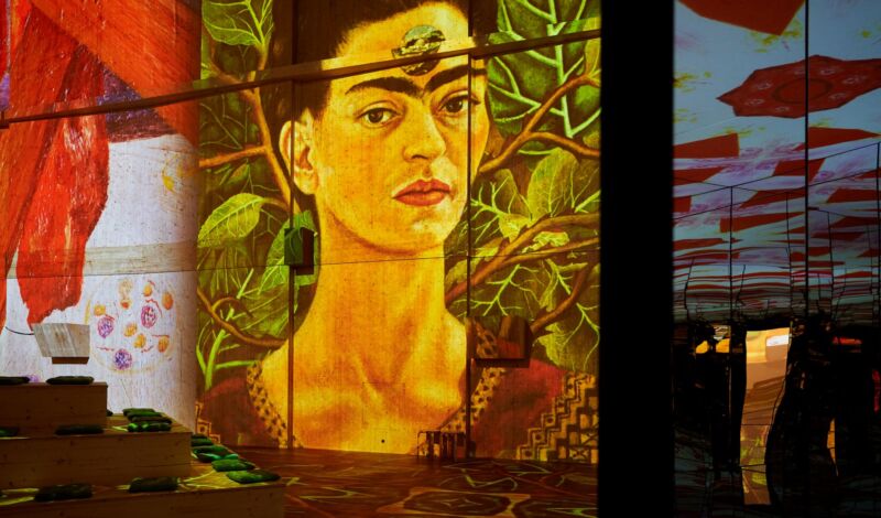 Immersive Ausstellung zu Frida Kahlo