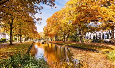 Der Clarenbachkanal im Kölner Stadtteil Lindenthal an einem sonnigen Herbsttag