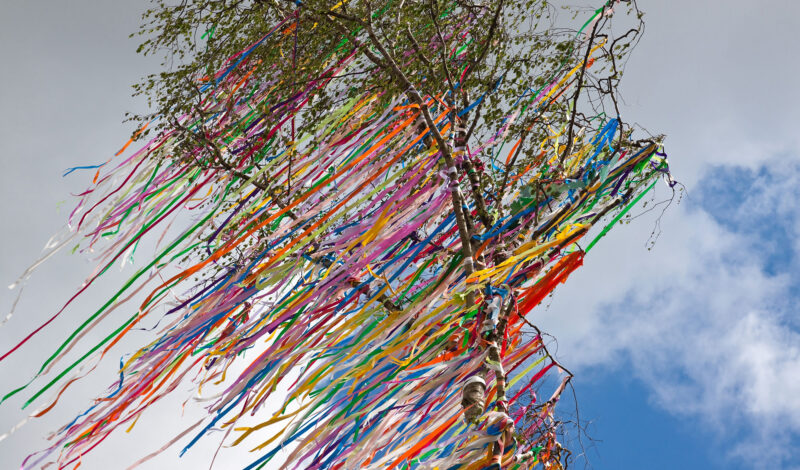 Maibaum mit Kreppbändern