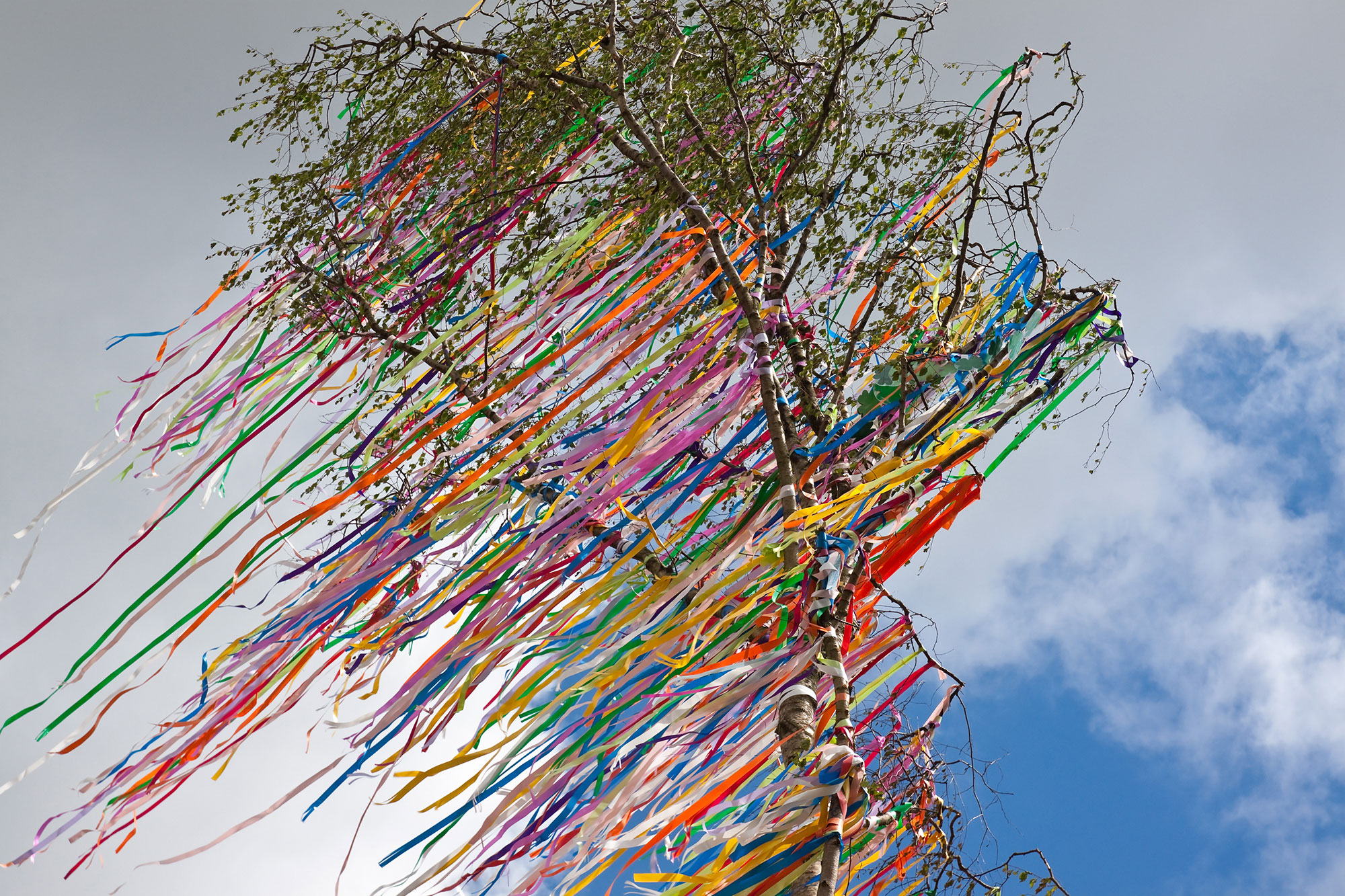 Maibaum mit Kreppbändern
