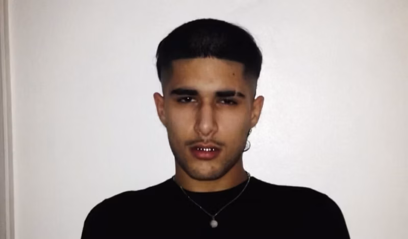 Fakemink