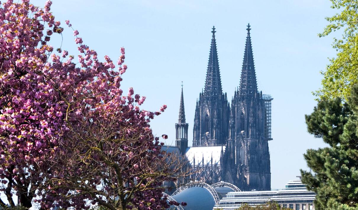 Kölner Dom im Frühling