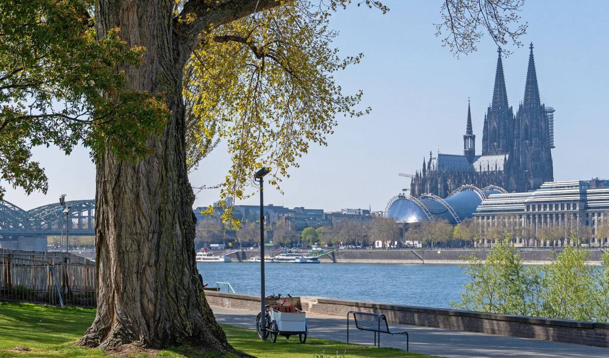 Blick aus dem Rheinpark auf den Kölmner Dom