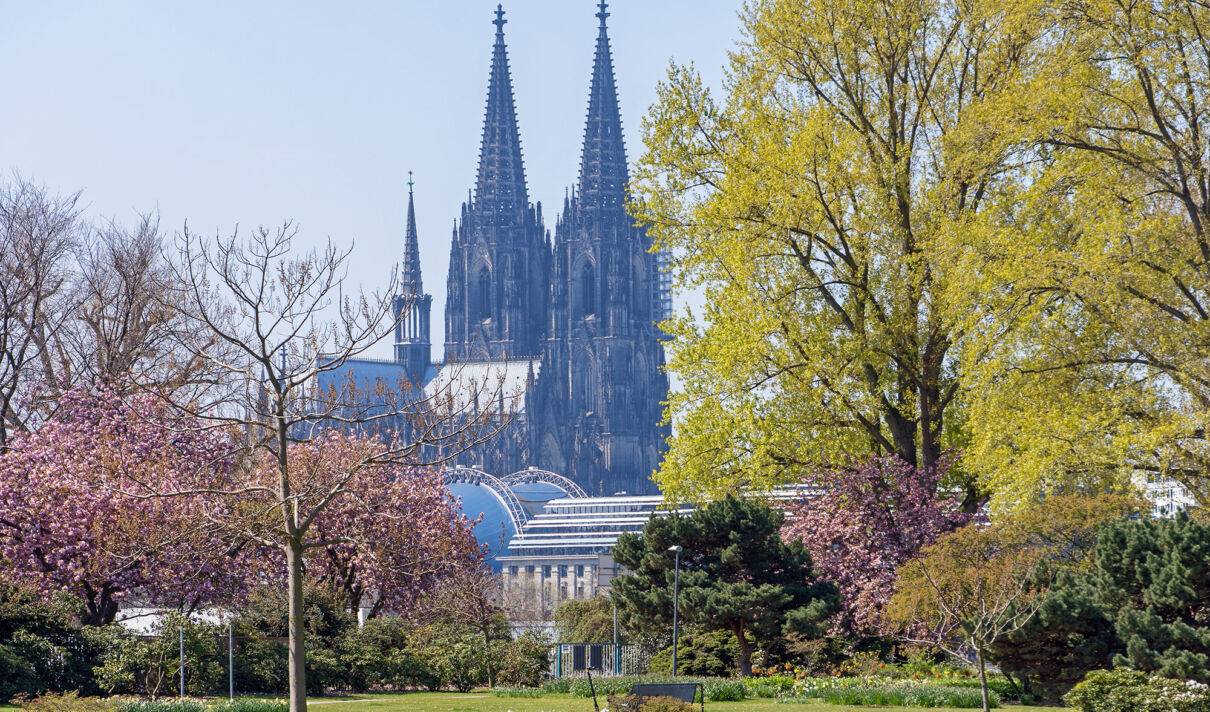 Kölner Dom, aus dem rheinpark gesehen